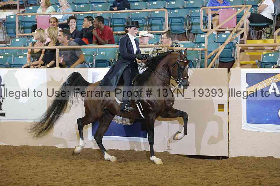 Proof 13yn_19393