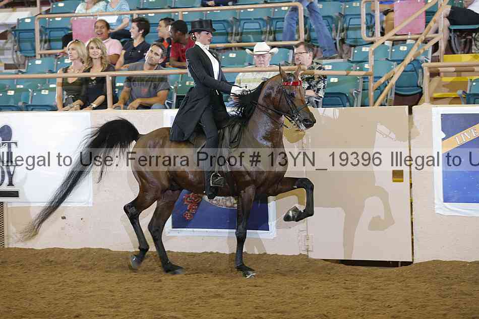 Proof 13yn_19396