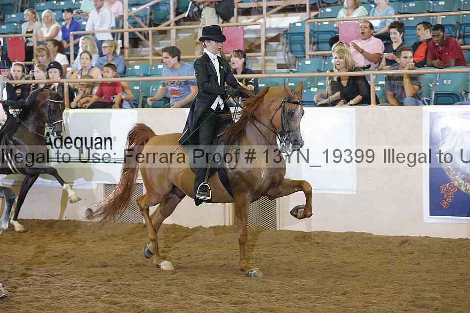 Proof 13yn_19399