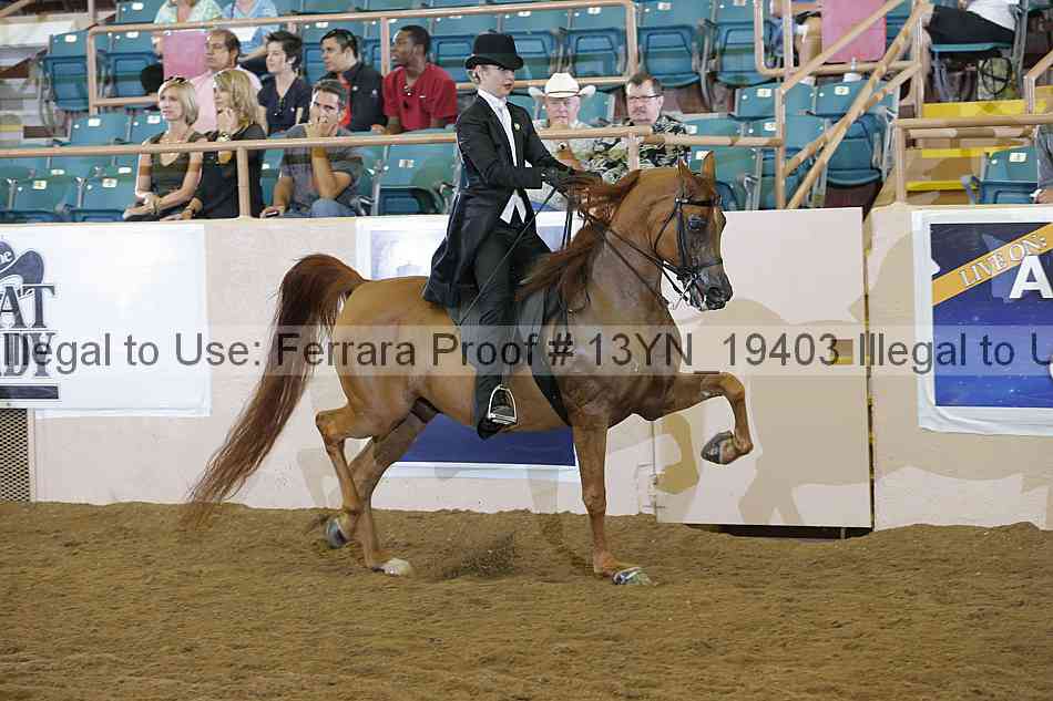 Proof 13yn_19403