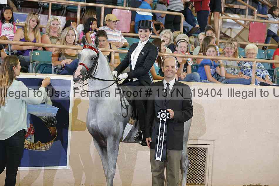 Proof 13yn_19404