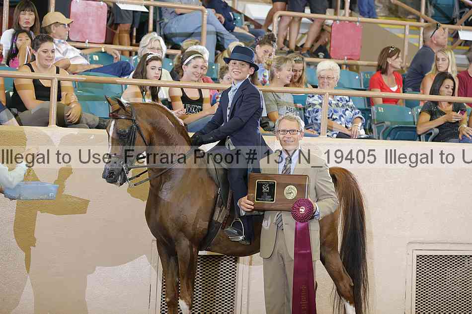 Proof 13yn_19405