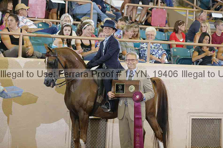 Proof 13yn_19406