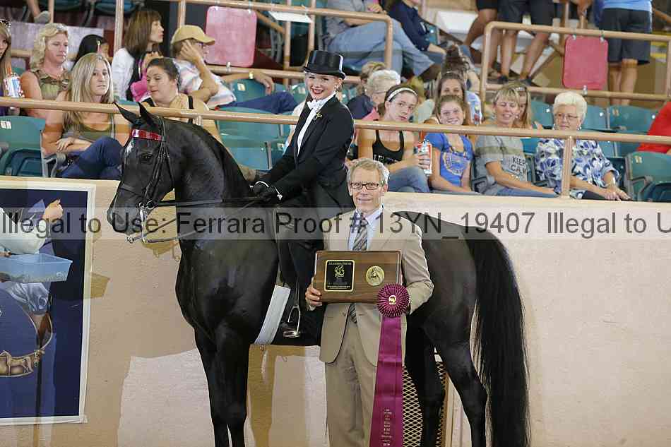 Proof 13yn_19407