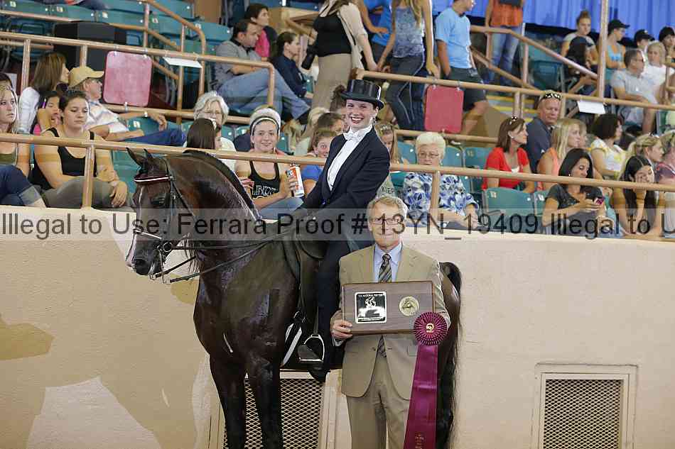 Proof 13yn_19409