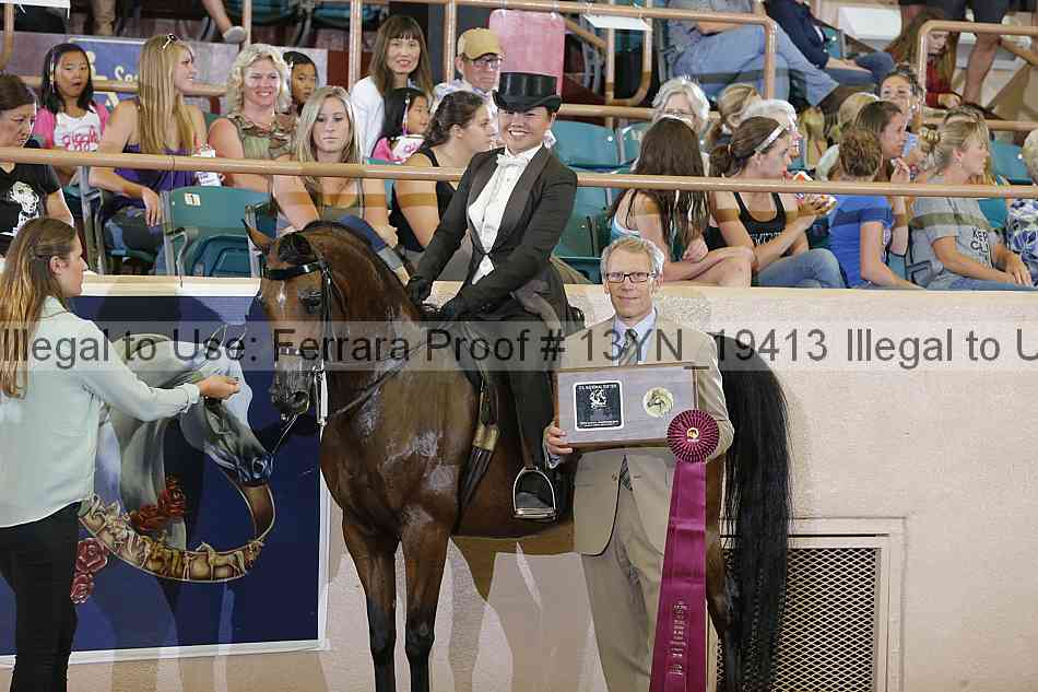 Proof 13yn_19413