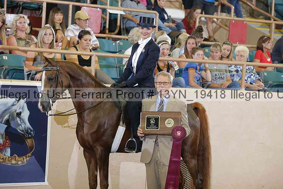 Proof 13yn_19418