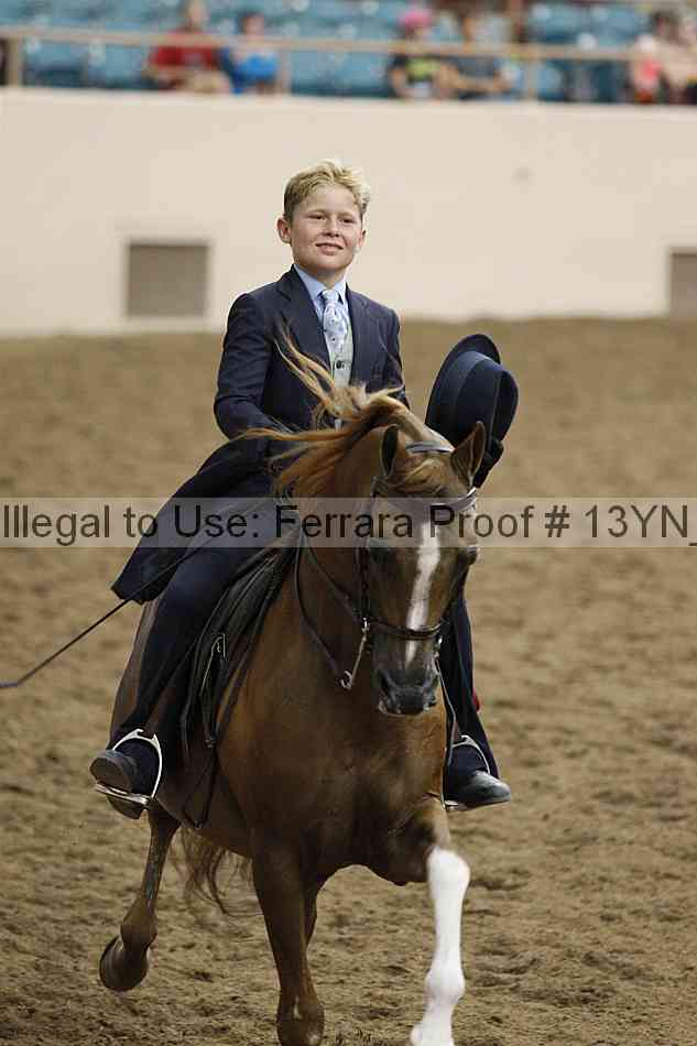 Proof 13yn_19481