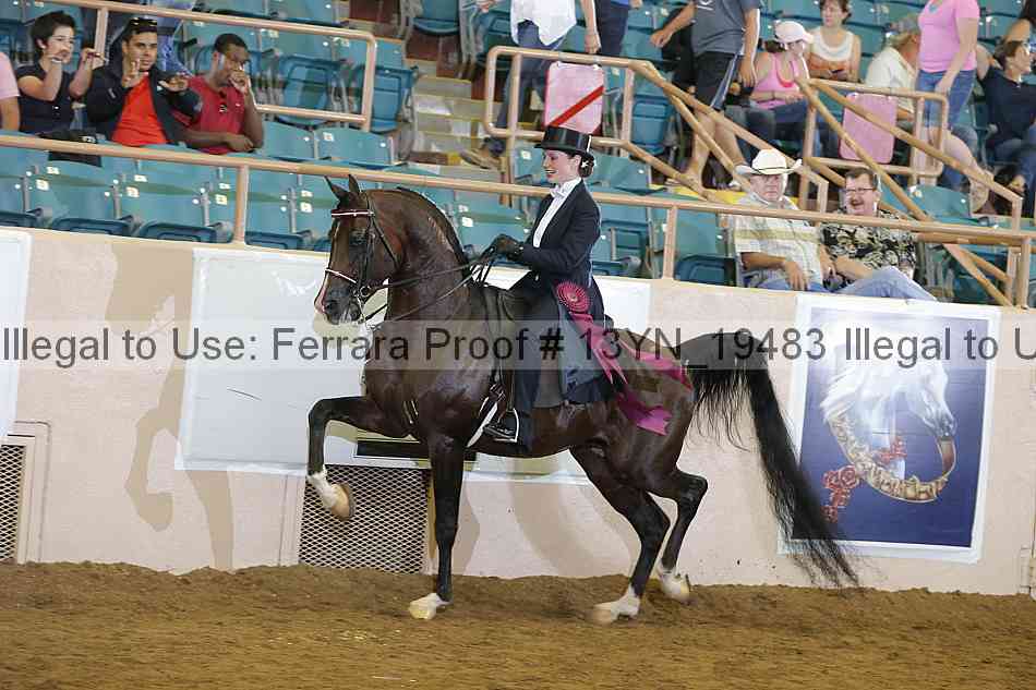 Proof 13yn_19483