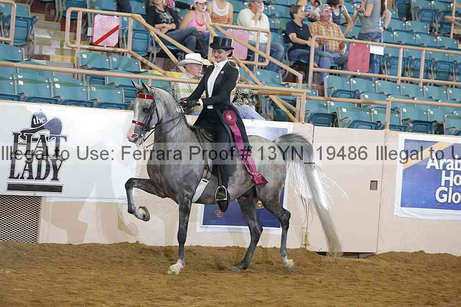 Proof 13yn_19486