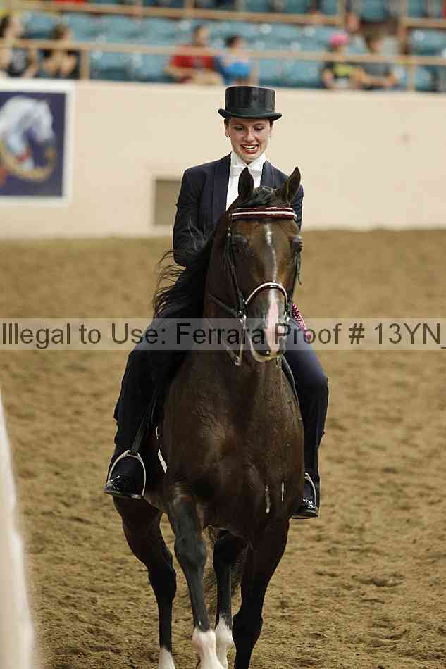 Proof 13yn_19488