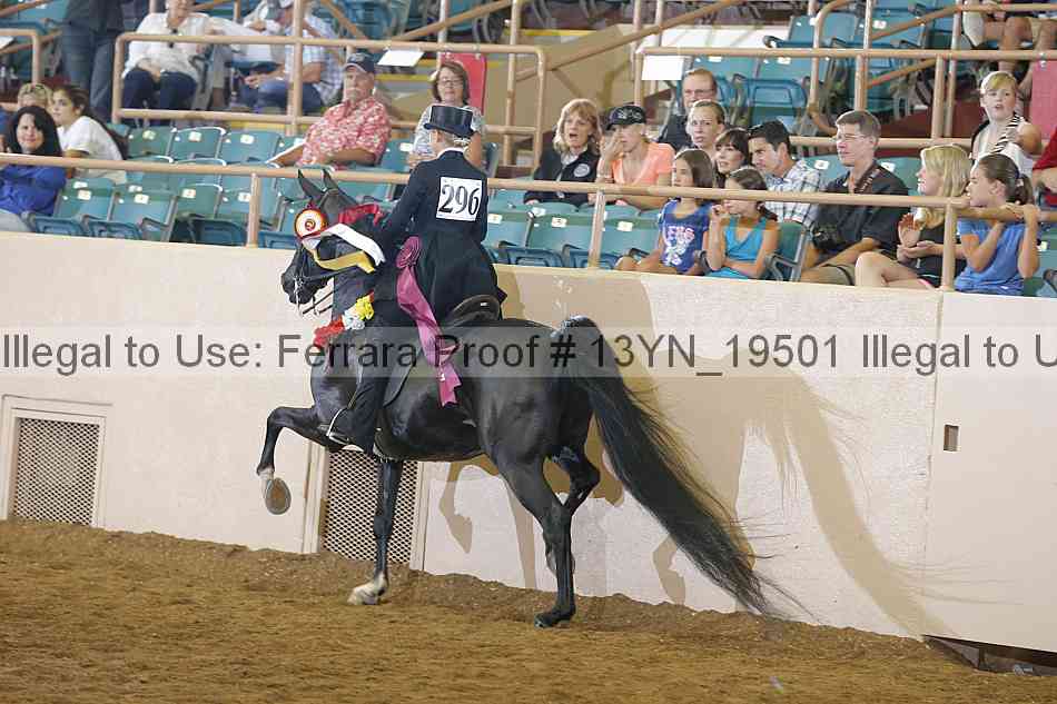 Proof 13yn_19501