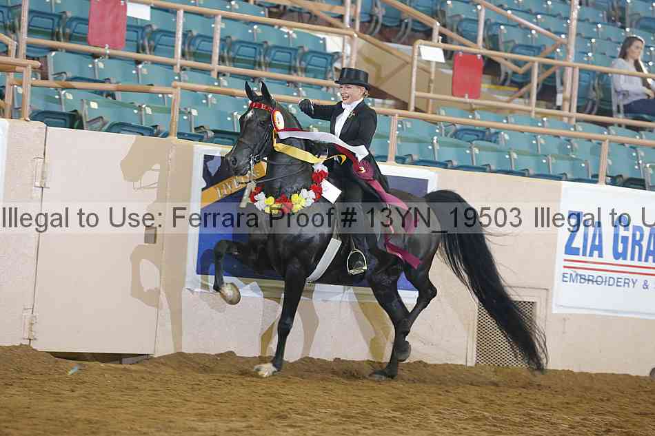 Proof 13yn_19503