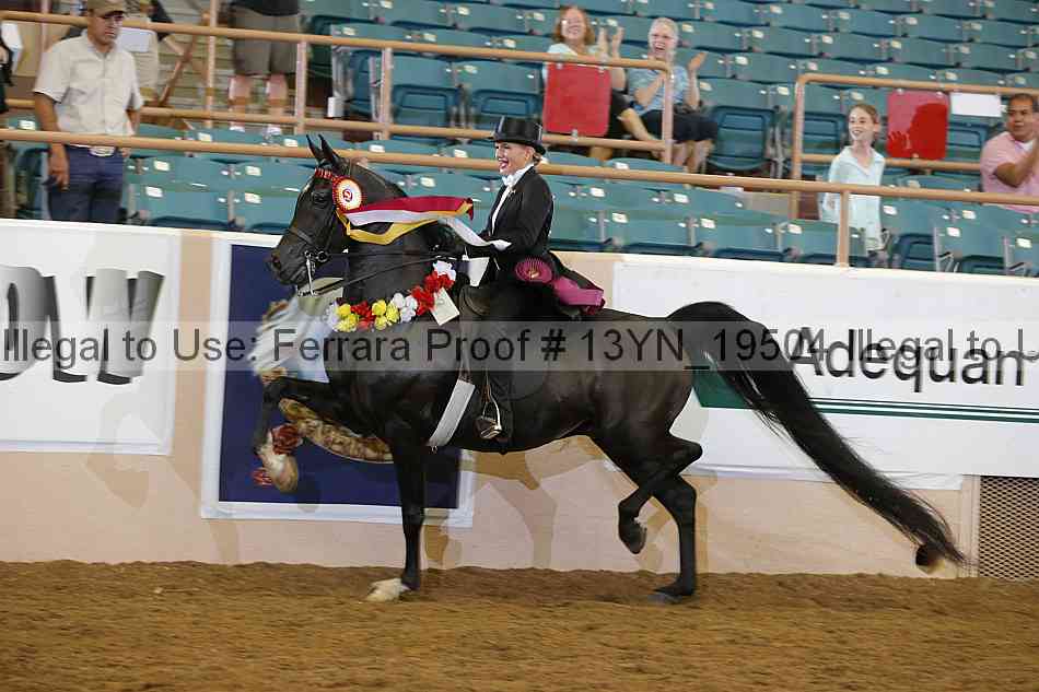 Proof 13yn_19504