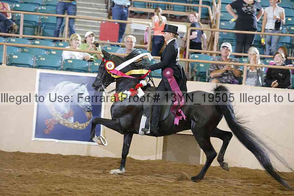 Proof 13yn_19505