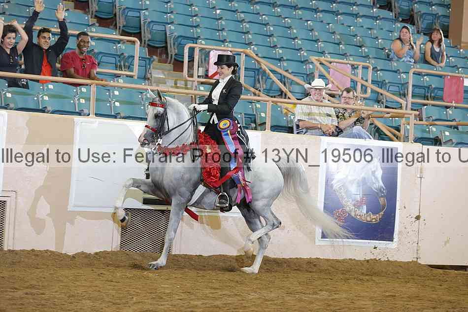 Proof 13yn_19506