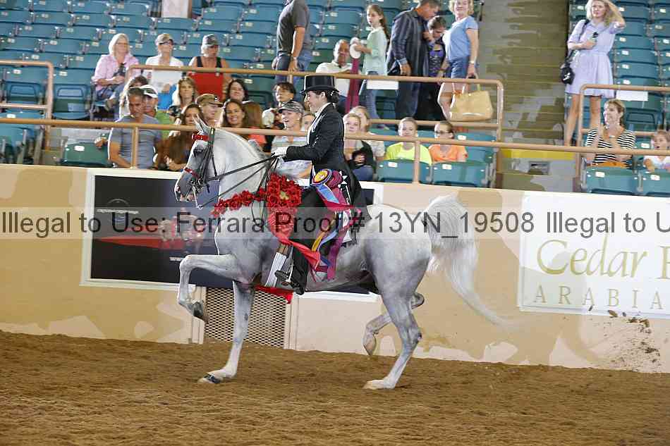Proof 13yn_19508