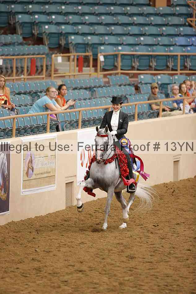 Proof 13yn_19509