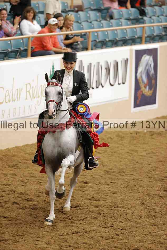 Proof 13yn_19512