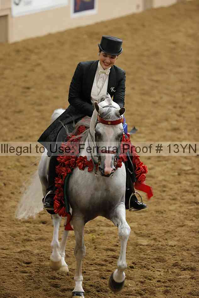 Proof 13yn_19513