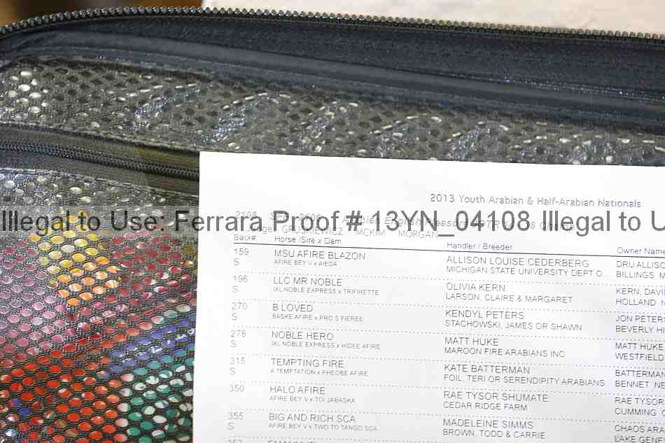 Proof 13yn_04108