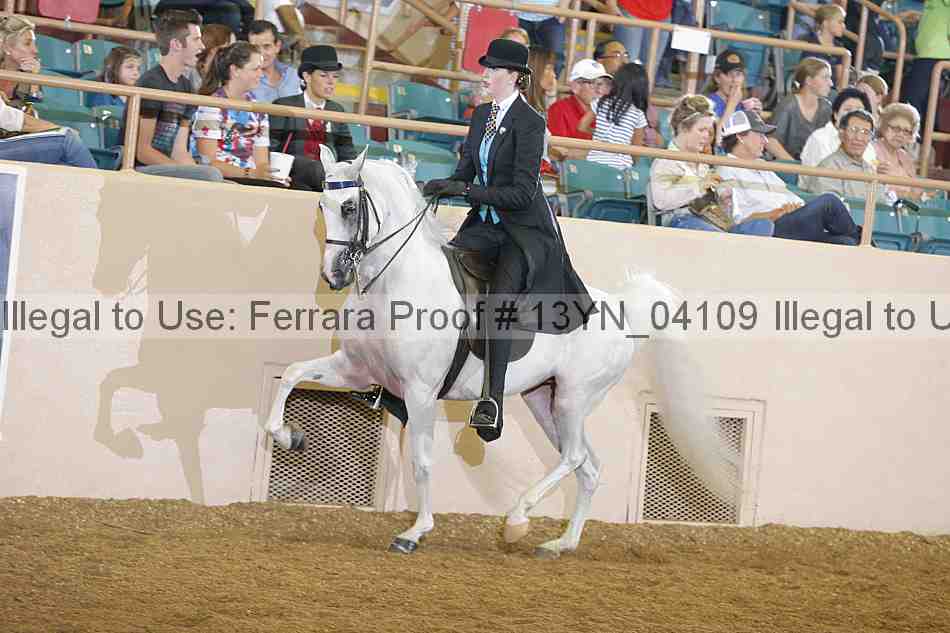 Proof 13yn_04109