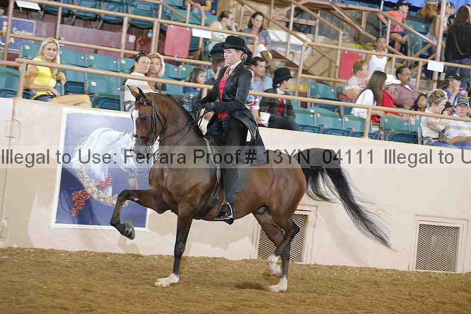 Proof 13yn_04111