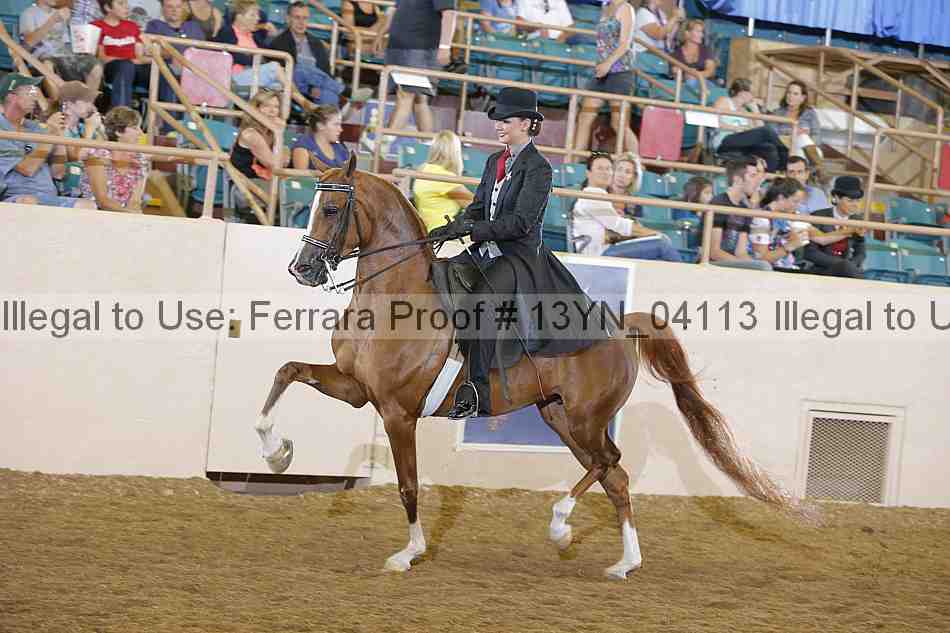 Proof 13yn_04113