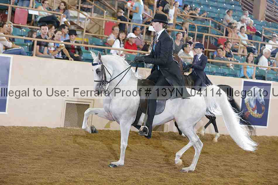Proof 13yn_04114