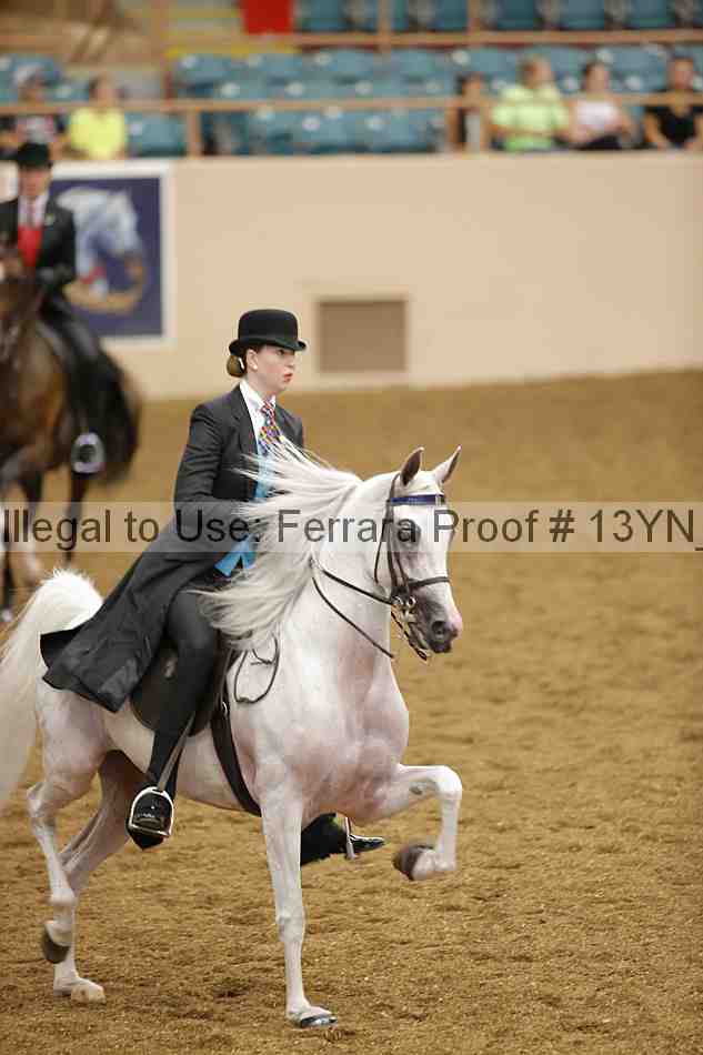 Proof 13yn_04115