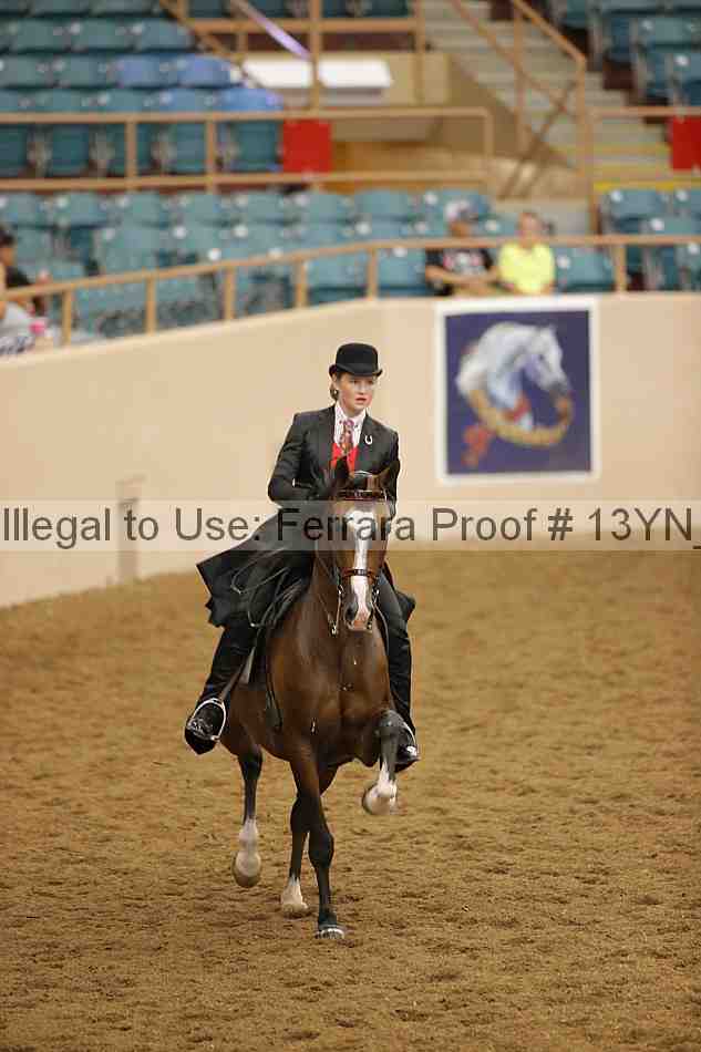 Proof 13yn_04116