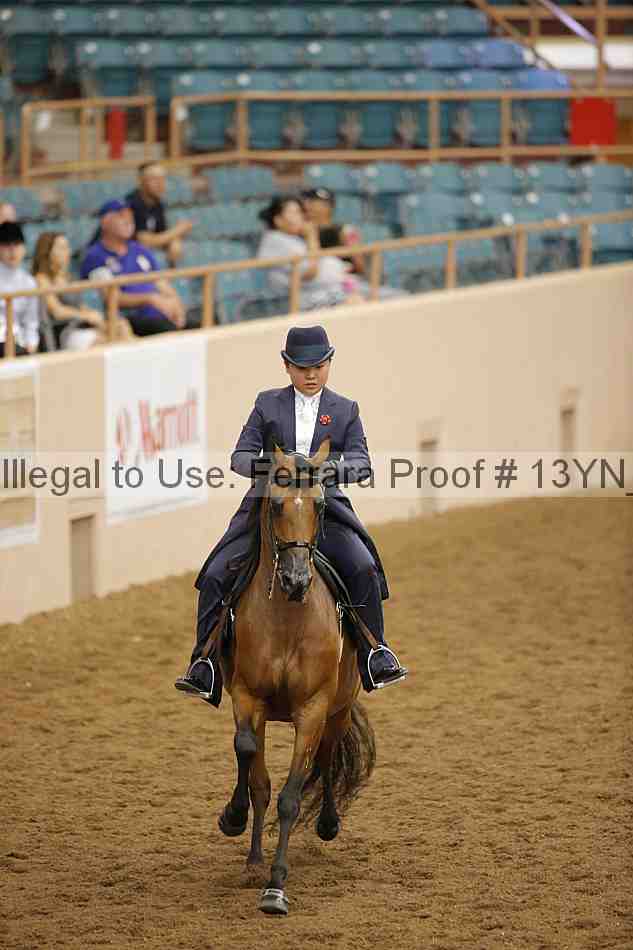 Proof 13yn_04118