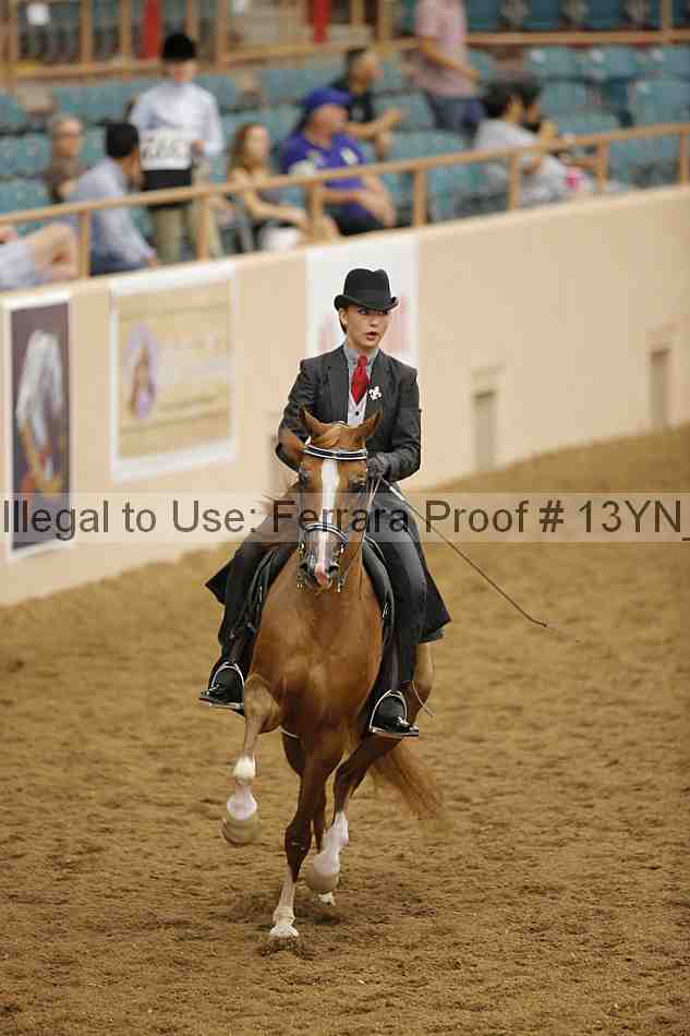 Proof 13yn_04119
