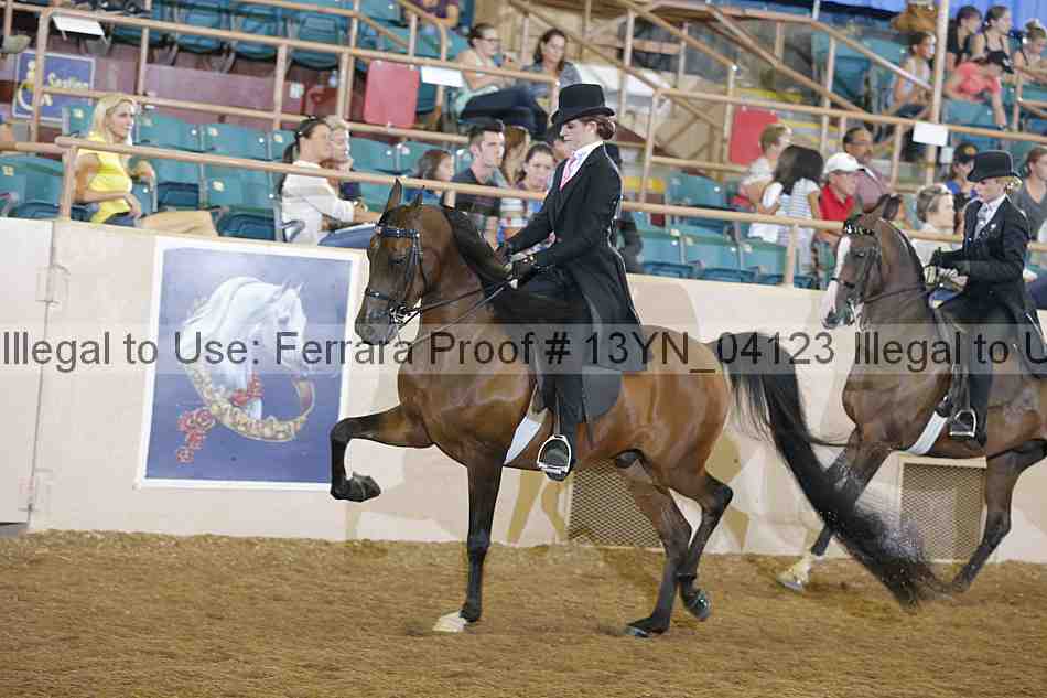 Proof 13yn_04123