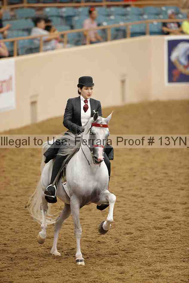 Proof 13yn_04128