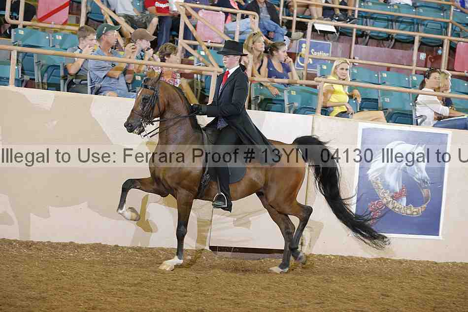 Proof 13yn_04130