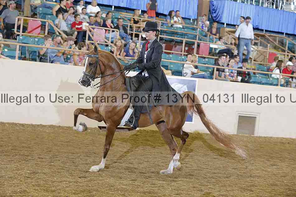 Proof 13yn_04131