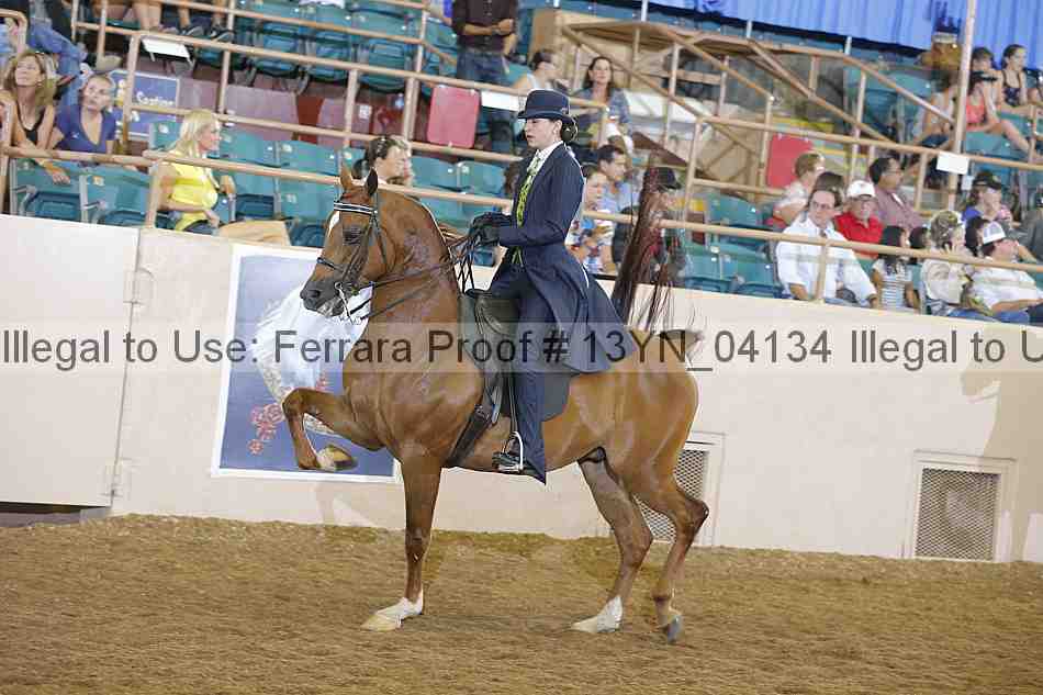 Proof 13yn_04134
