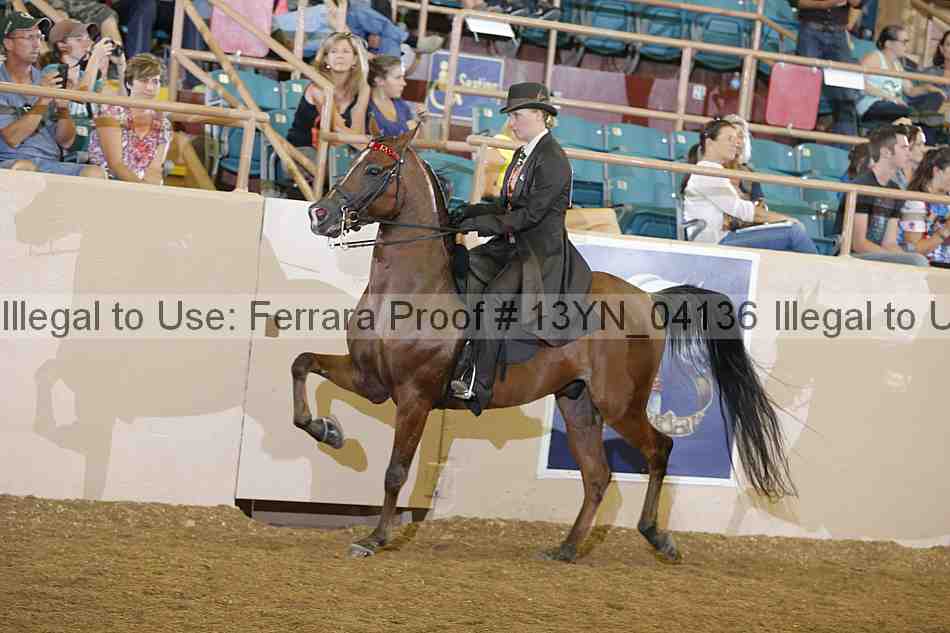 Proof 13yn_04136