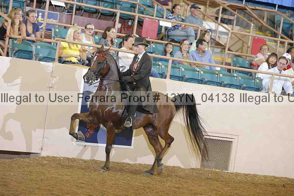 Proof 13yn_04138