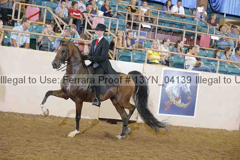 Proof 13yn_04139