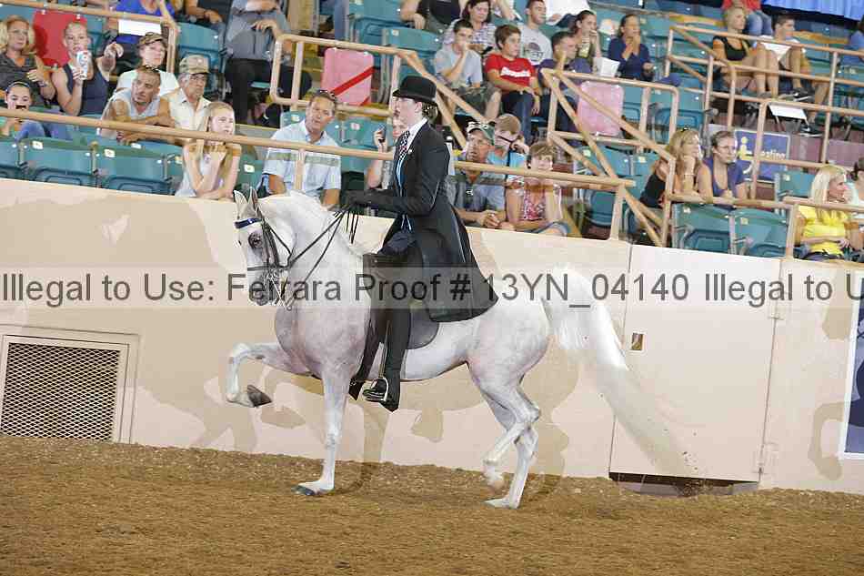 Proof 13yn_04140