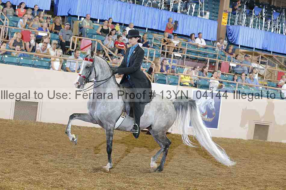 Proof 13yn_04144
