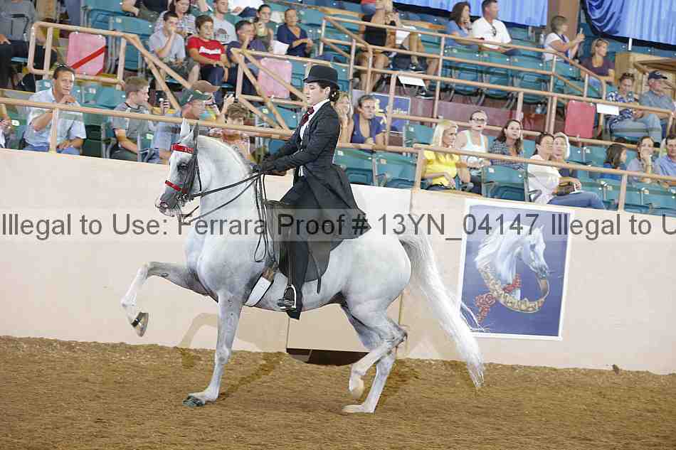 Proof 13yn_04147