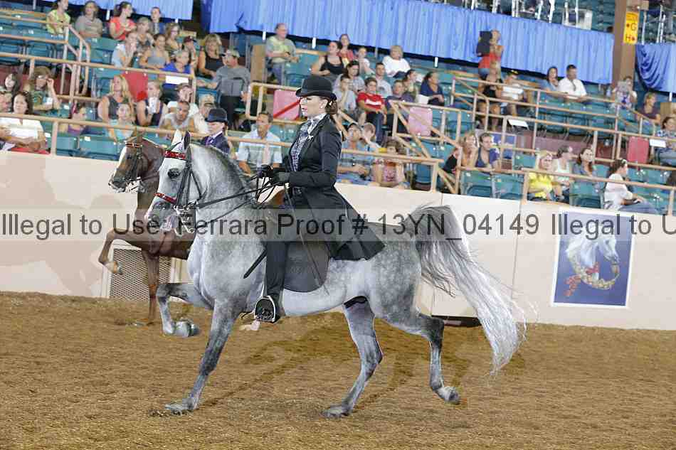 Proof 13yn_04149