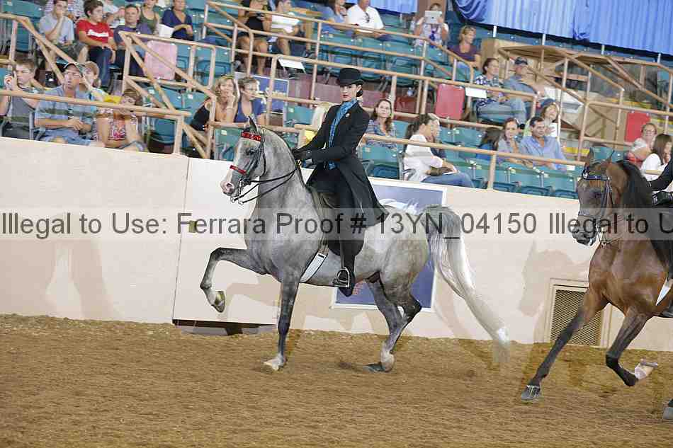 Proof 13yn_04150