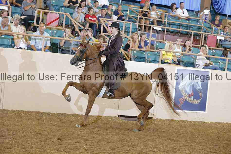Proof 13yn_04151