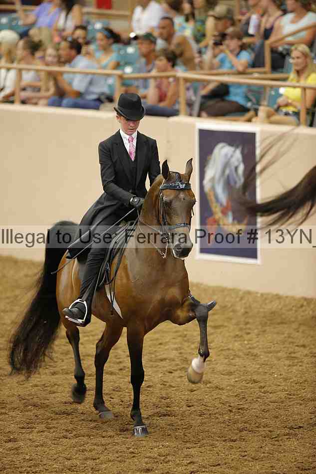 Proof 13yn_04157