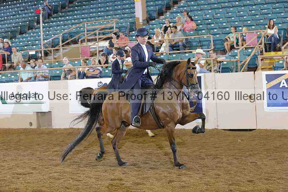 Proof 13yn_04160