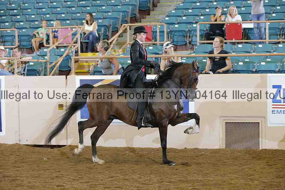 Proof 13yn_04164